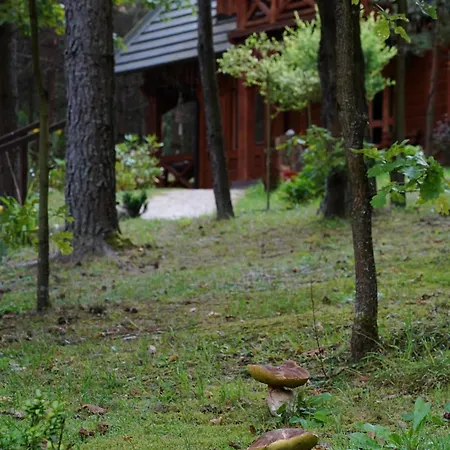 Villa Lesna Mazury *